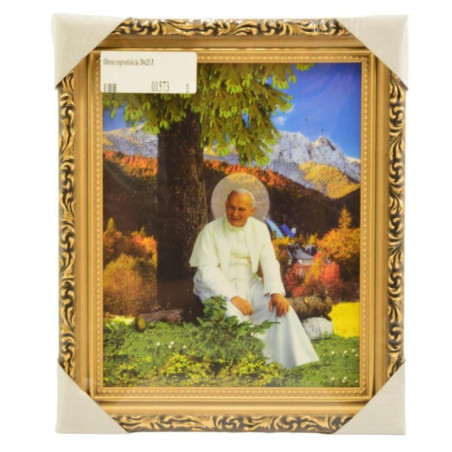 Obraz reprodukcja 20/25 ZŁOTY mix